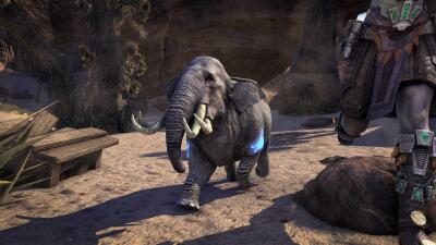 Na-Totambu Pocket Elephant icon