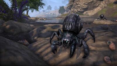 Crabe ermite de la Lumière brisée icon