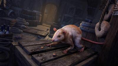 Rat de navire de l'Abécéenne icon