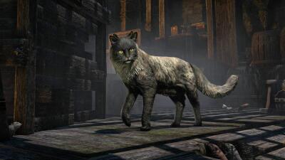 Ratier de Faillaise icon