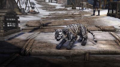 Jeune tigre senche de Belkarth icon