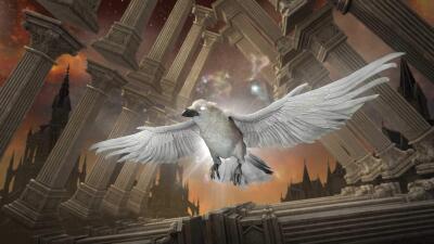 Corbeau lumineux icon