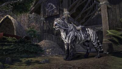 Belkarth Senche-Tiger icon