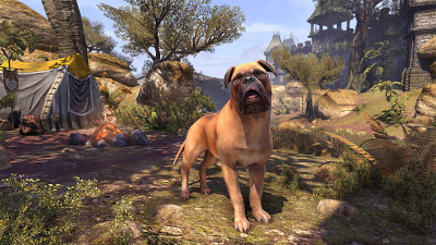 Tan Morthal Mastiff icon