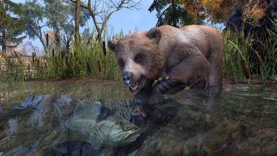Cave Bear Cub