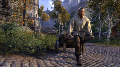 High Rock Pioneer Outfit icon