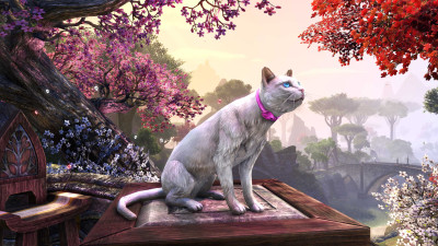 Milady's Cloud Cat icon