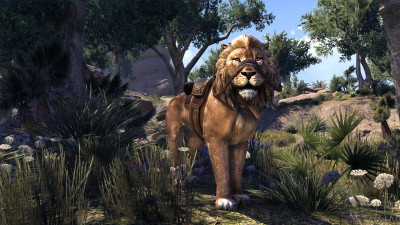 Pride-King Lion