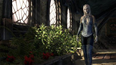 Holiday in Balmora Outfit icon