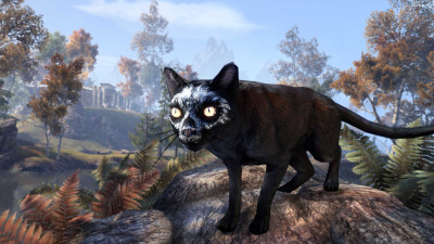 Haunted House Cat icon