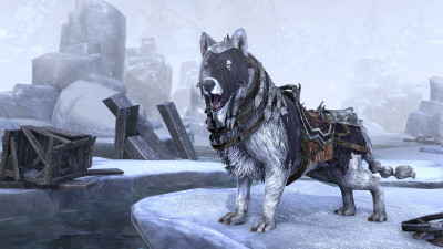 Frostbane Wolf