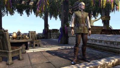 Skald's Damask Jerkin icon