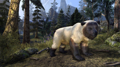 Atmoran Snow Bear Cub icon
