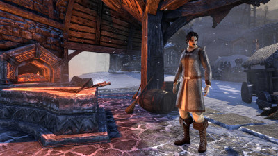 Forge-Wife's Impervious Frock icon