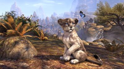 Edles Stromfeste-Senchelöwenjunges icon