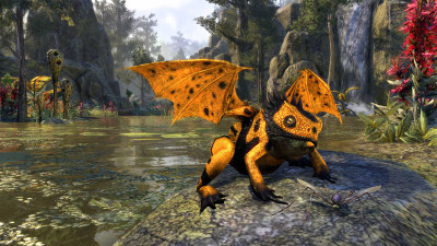 Butterscotch Dragon Frog icon