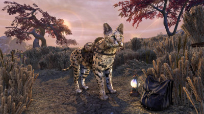 Sapiarchic Senche-Serval icon