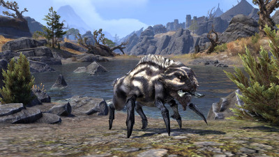 Badger Ruff Echalette icon