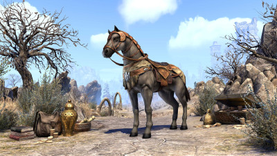 Treasure Hunter's Horse