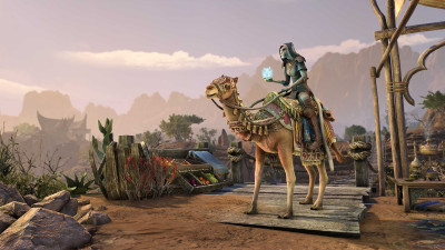 Baandari Pedlar Camel