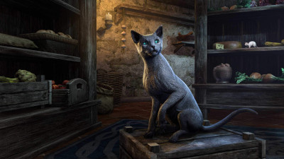 Silver-Gray Mouser Cat icon