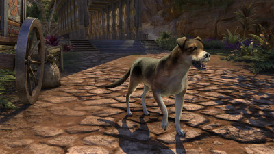 Sable Tenmar Stray icon