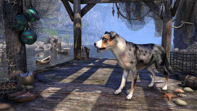 Merle Paddock Hound icon