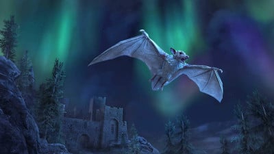 Snow Throat Fruit Bat - ESO Hub - Elder Scrolls Online