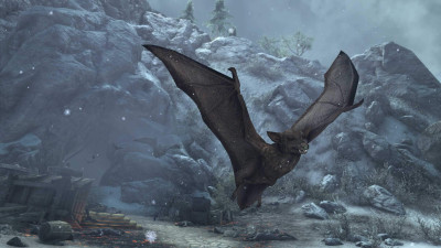 Shadowswift Bat icon