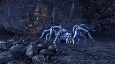 Frostbite Spider - ESO Hub - Elder Scrolls Online