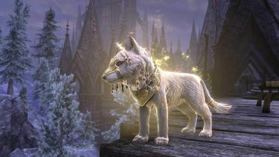 Sovngarde Wolf Pup icon