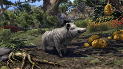 Karthwasten Silver Boar icon