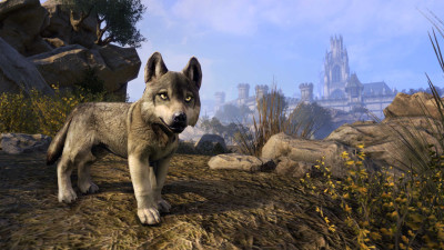 Boralis Gray Wolf Pup