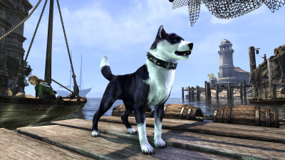 Black Mask Bear-Dog icon