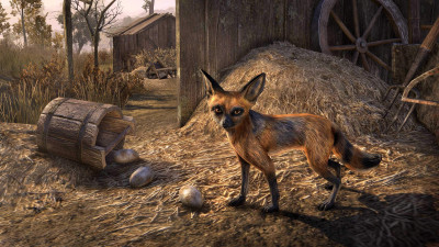 Linchal Titian Fox
