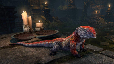 Lilmoth Ancestor Lizard icon