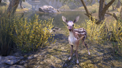Clearspring Striped Fawn