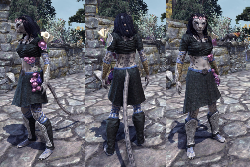 Second Seed Outfit Style Jester's Event ESO