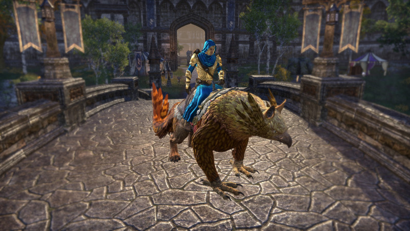 Aurielic Quasigriff mount in ESO for Zeal of Zenithar Event