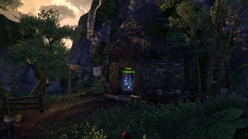 Fillia location inside a cottage in Grahtwood for Tales of Tribute match ESO