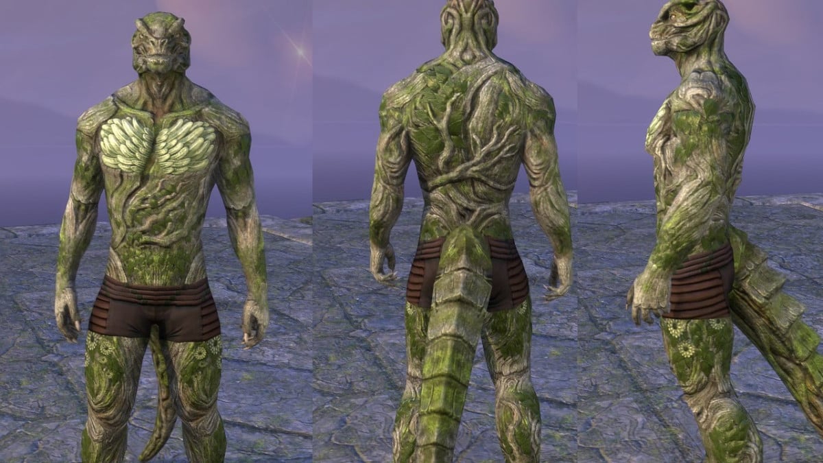 How to obtain the Barkroot Blessing Skin in ESO - All 10 Leads found! header