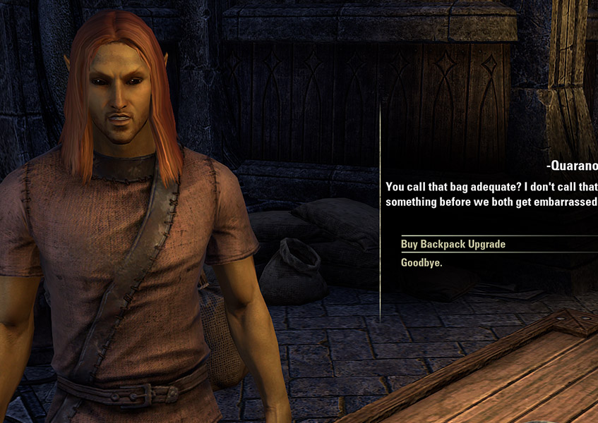 elder scrolls online increase inventory