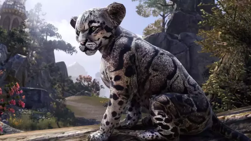 Get a free pet (Clouded Senche-Leopard Cub) during the ESO Live stream on September 29. Image