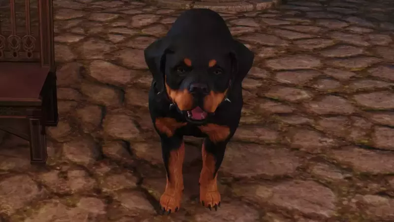How to Dance with a Dog in ESO High Isle Image