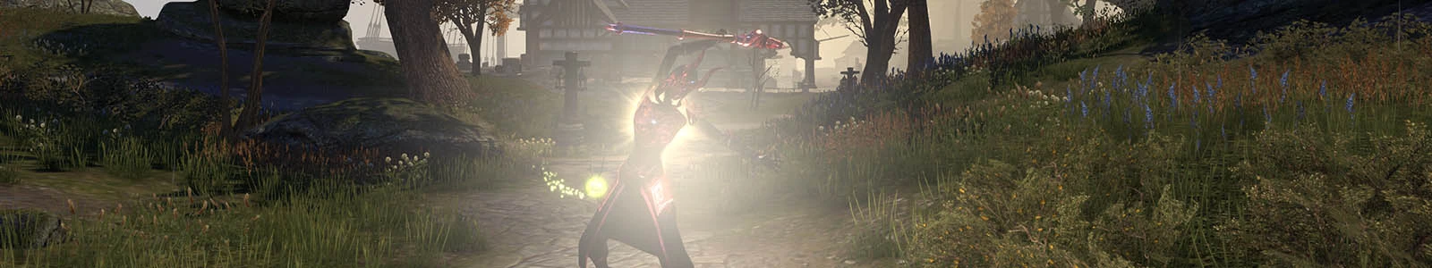 aedrischer Speer header image
