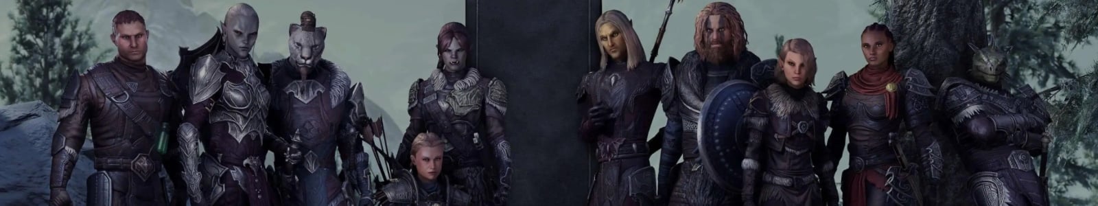 So What Ever Happened To The ESO Warden Class? - EIP Gaming