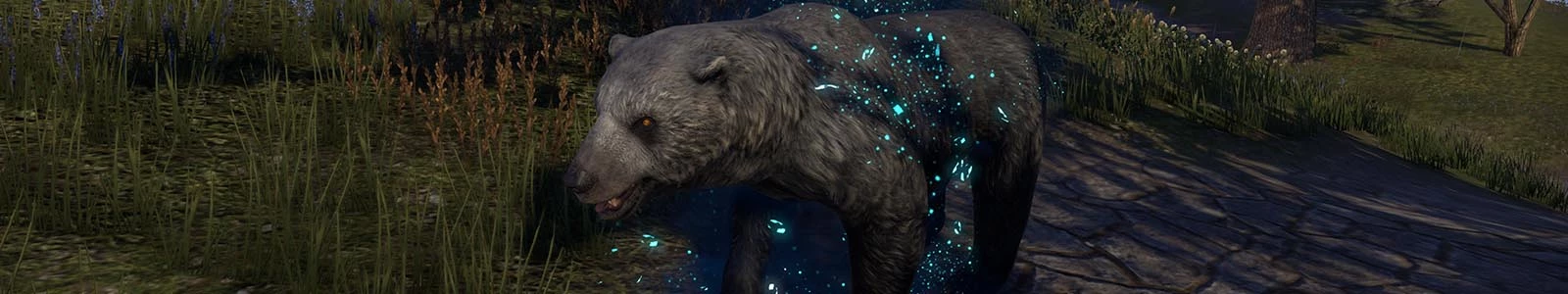 Acompañantes animales header image