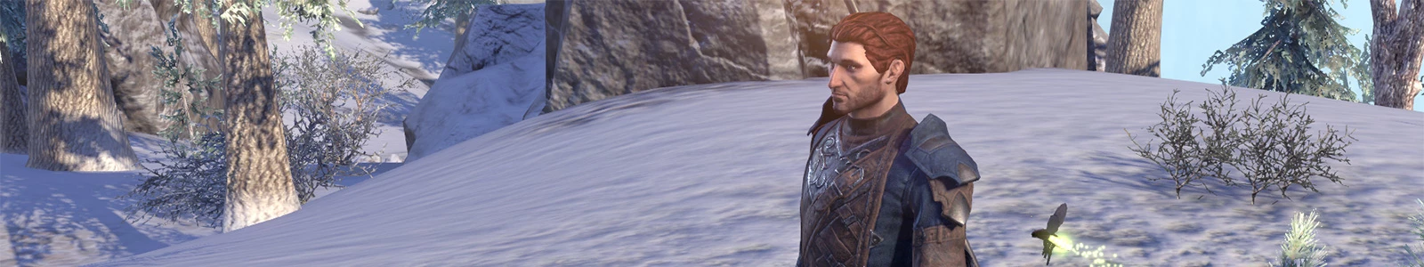 Le compagnon Bastian Hallix dans ESO header image