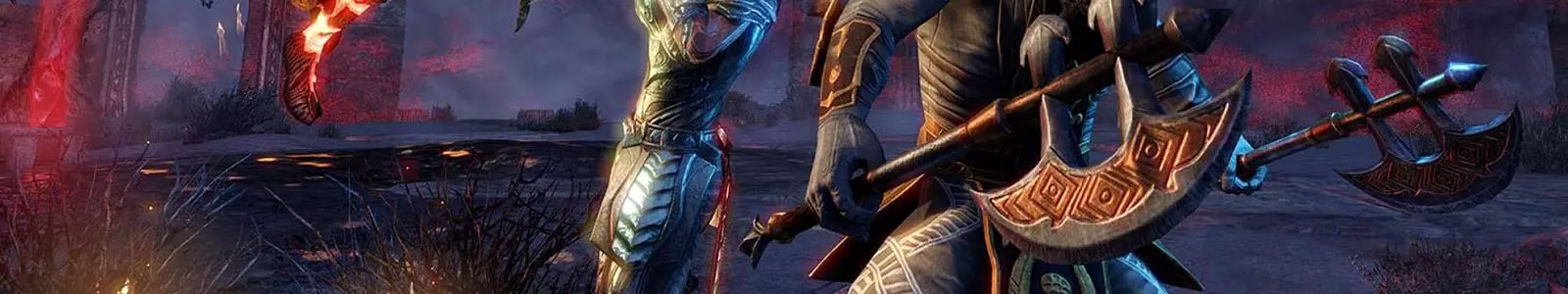 Dual Wield header image
