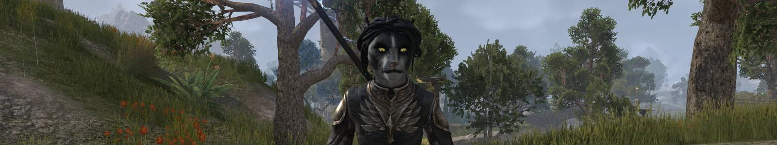 Funke, die Khajiit: Gefährtenleitfaden für ESO header image